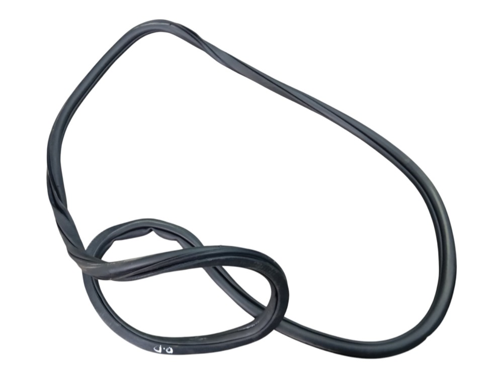 Borracha Porta Dianteira Direita Volkswagen Polo Sense 2026 5