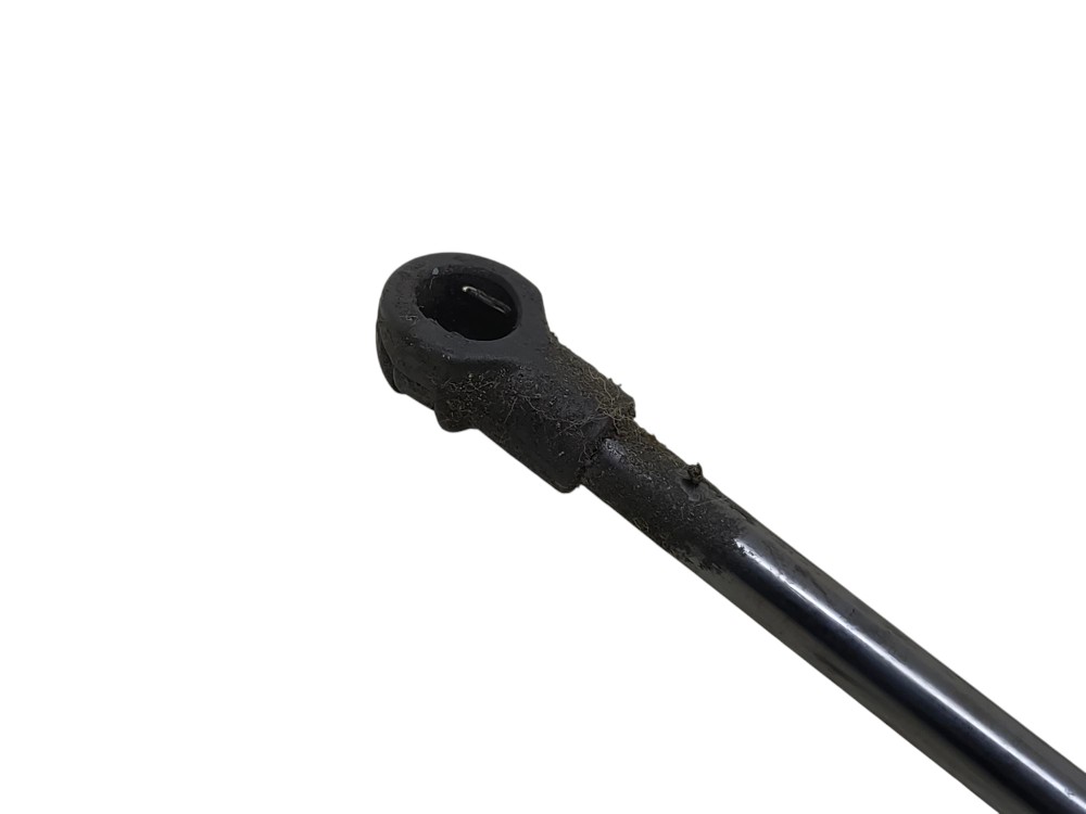Amortecedor Tampa Traseira Bmw 116i N13 1.6 16v Gas 2014 2