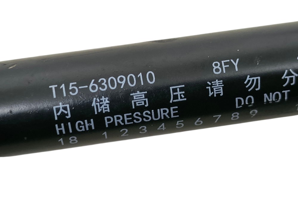 Amortecedor Tampa Traseira Chery Tiggo 7 2020 5