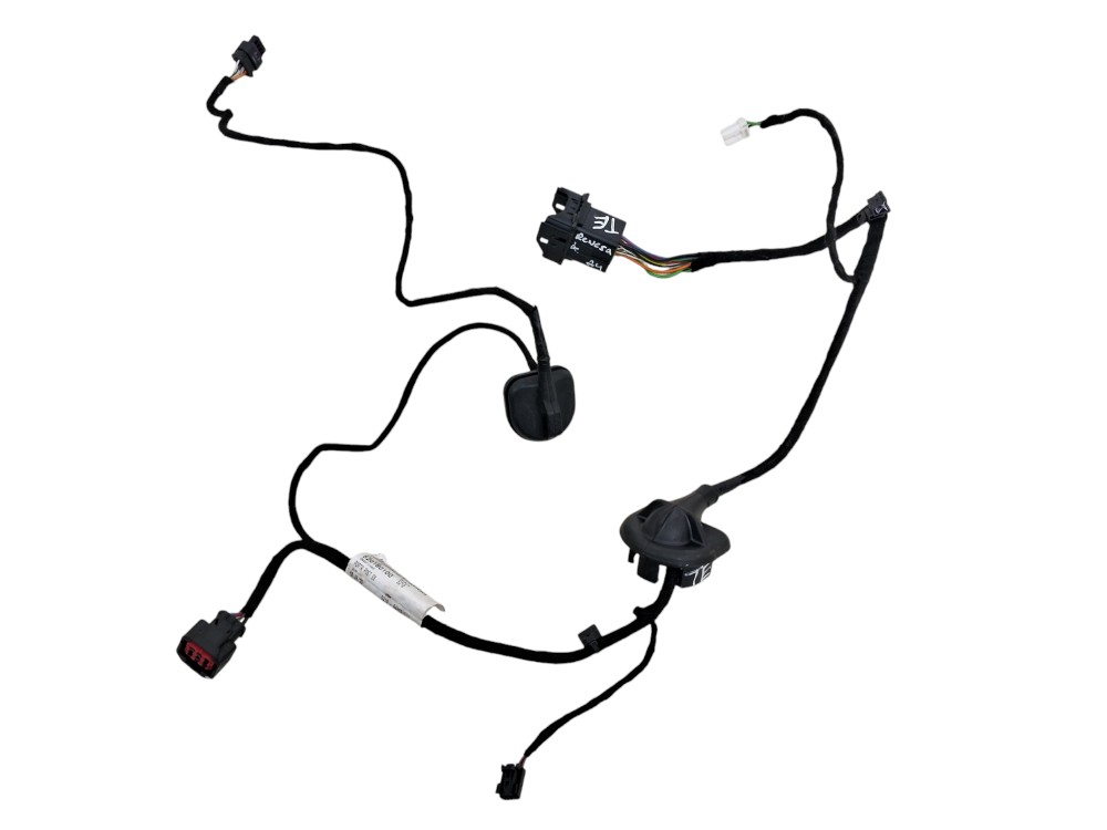 Chicote Porta Traseira Esquerda Jeep Renegade Longitude 2024