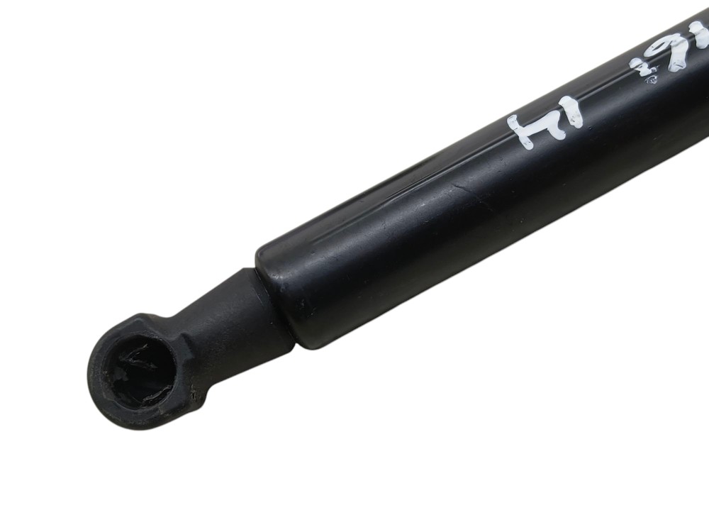 Amortecedor Tampa Traseira Bmw 116i N13 1.6 16v Gas 2014 2
