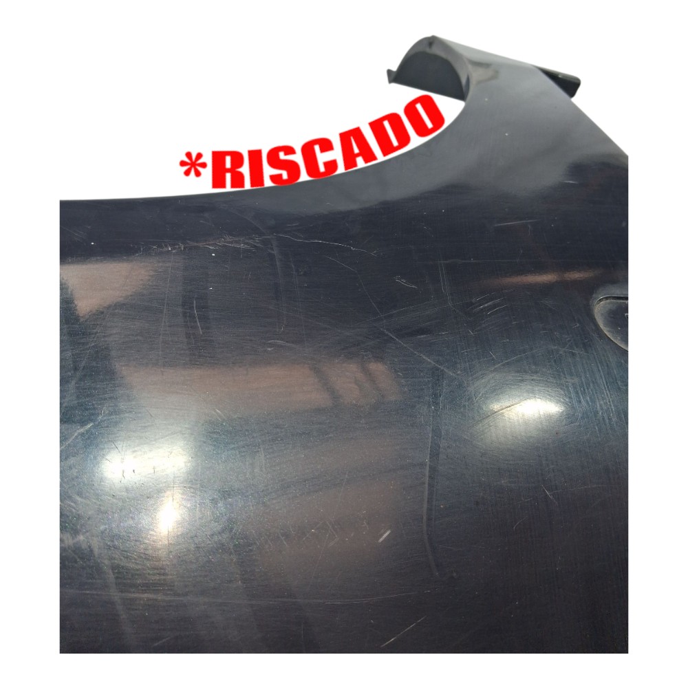 Paralama Direito Renault Clio 2008 *riscado 5