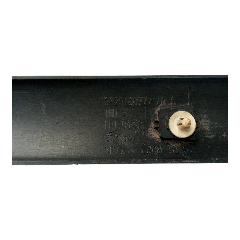Friso Da Porta Traseira Esquerda Peugeot 206 3
