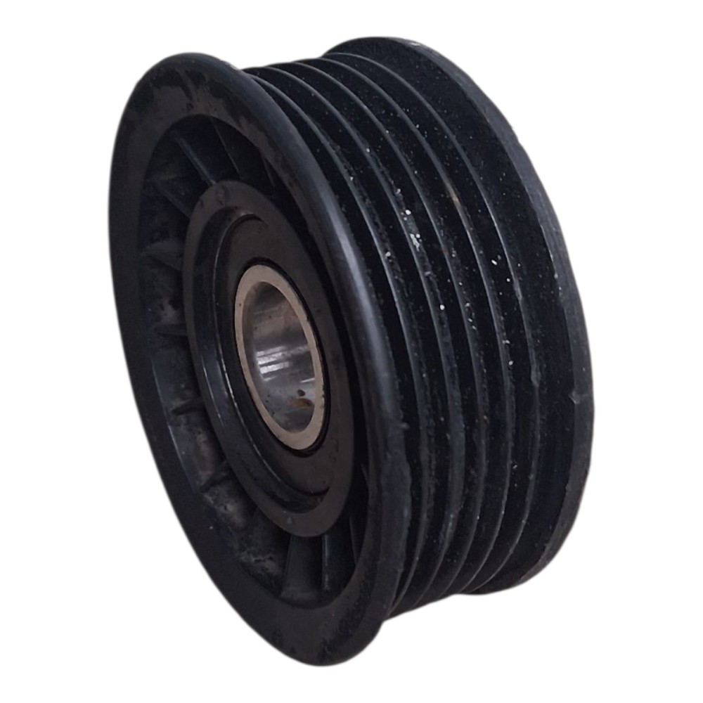 Polia Auxiliar Correia Alternador Ford Focus 1.8 2001 4