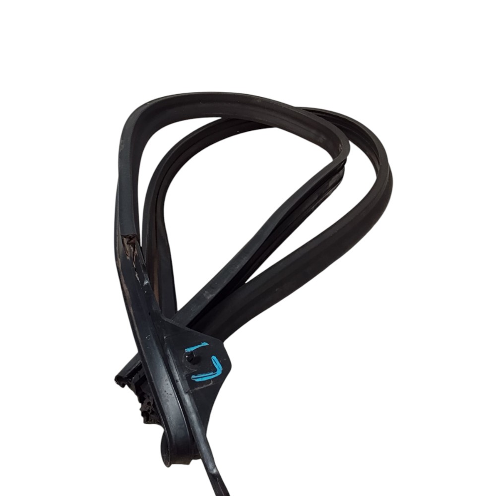 Borracha De Porta Lateral Esquerda Ford Focus 2001 1.8 16v 3