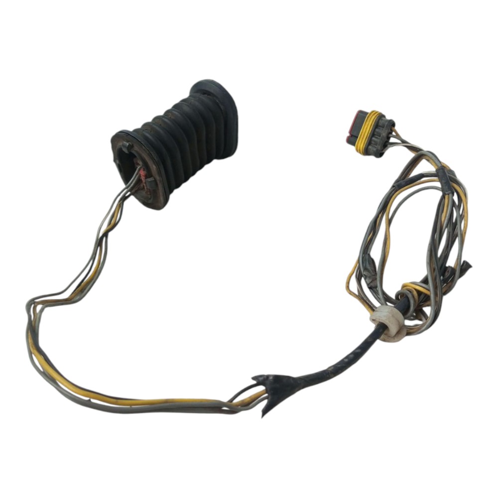Chicote Porta Traseira Direita Renault Sandero 2010 3