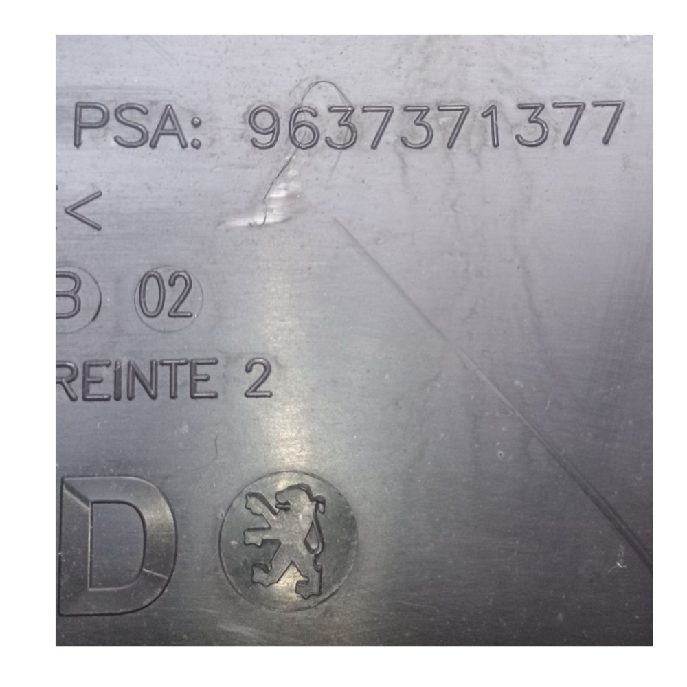 Forro Porta Traseira Direita Peugeot 307 2004 À 2012 3
