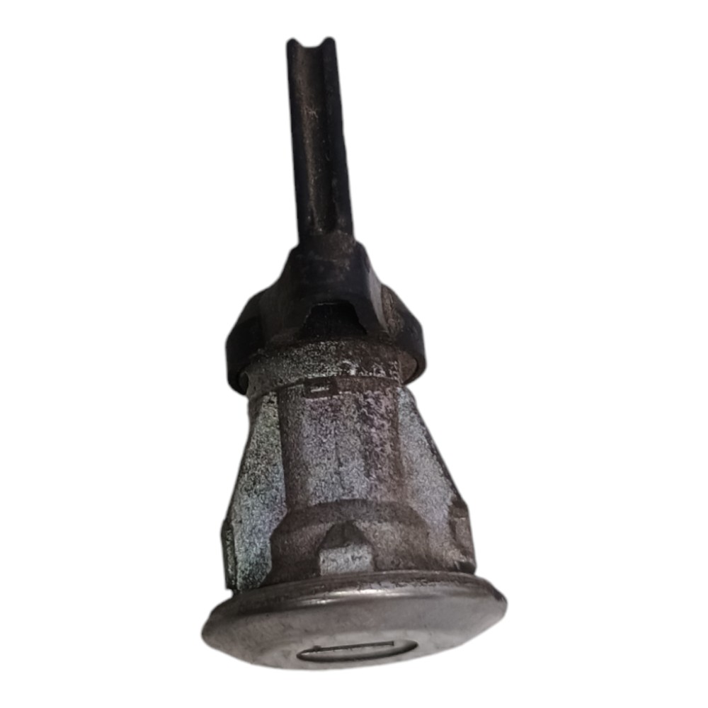 Miolo Porta Dianteira Direita Peugeot 207 2010 3