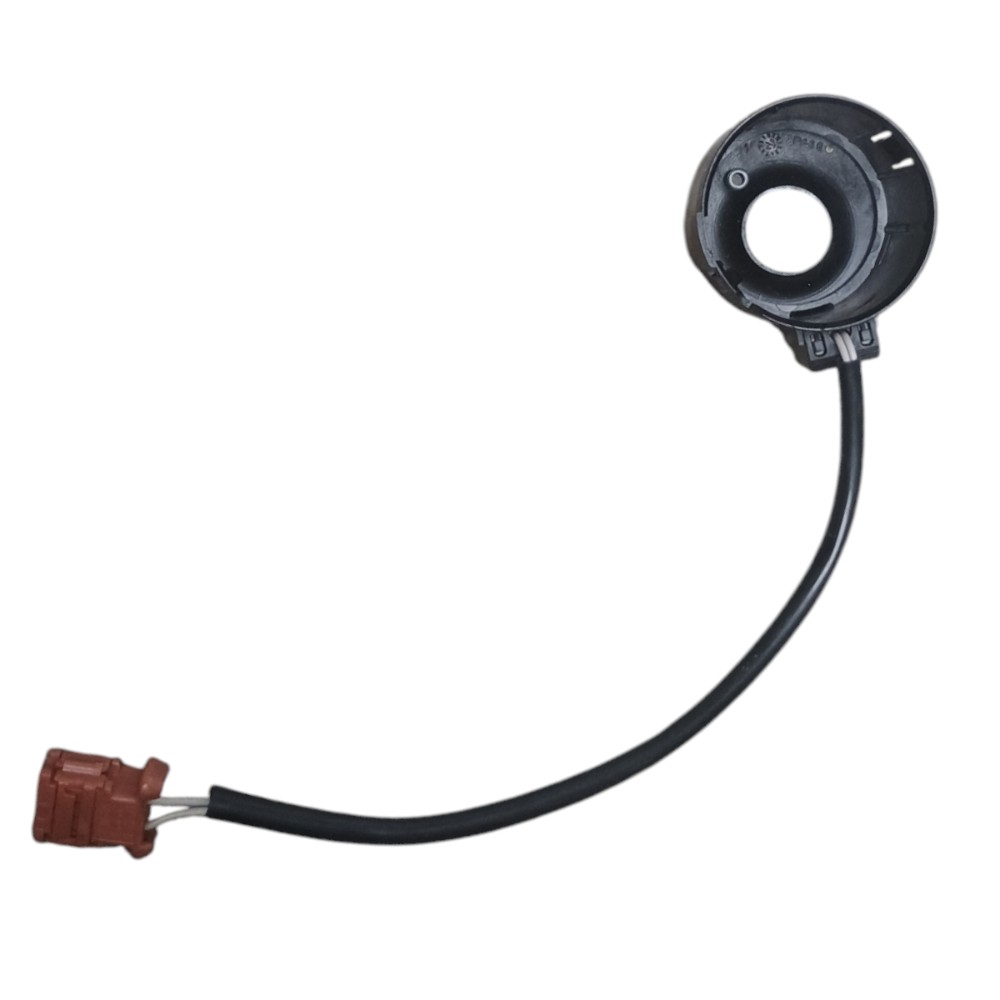 Antena Imobilizador Peugeot 206 2003 2