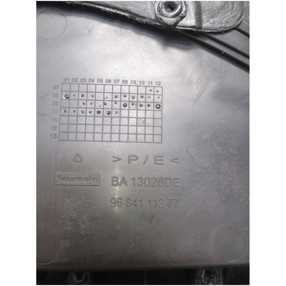 Forro Porta Dianteira Esquerda Peugeot 207 2010 Preto 4