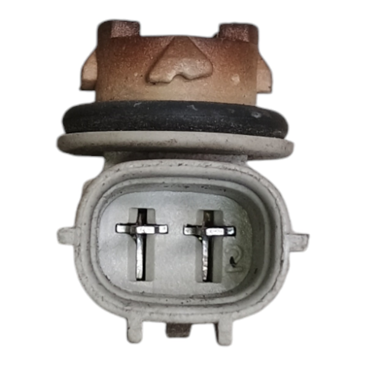 Soquete Lanterna Luz Placa Toyota Etios 2013 A 2019 02218050