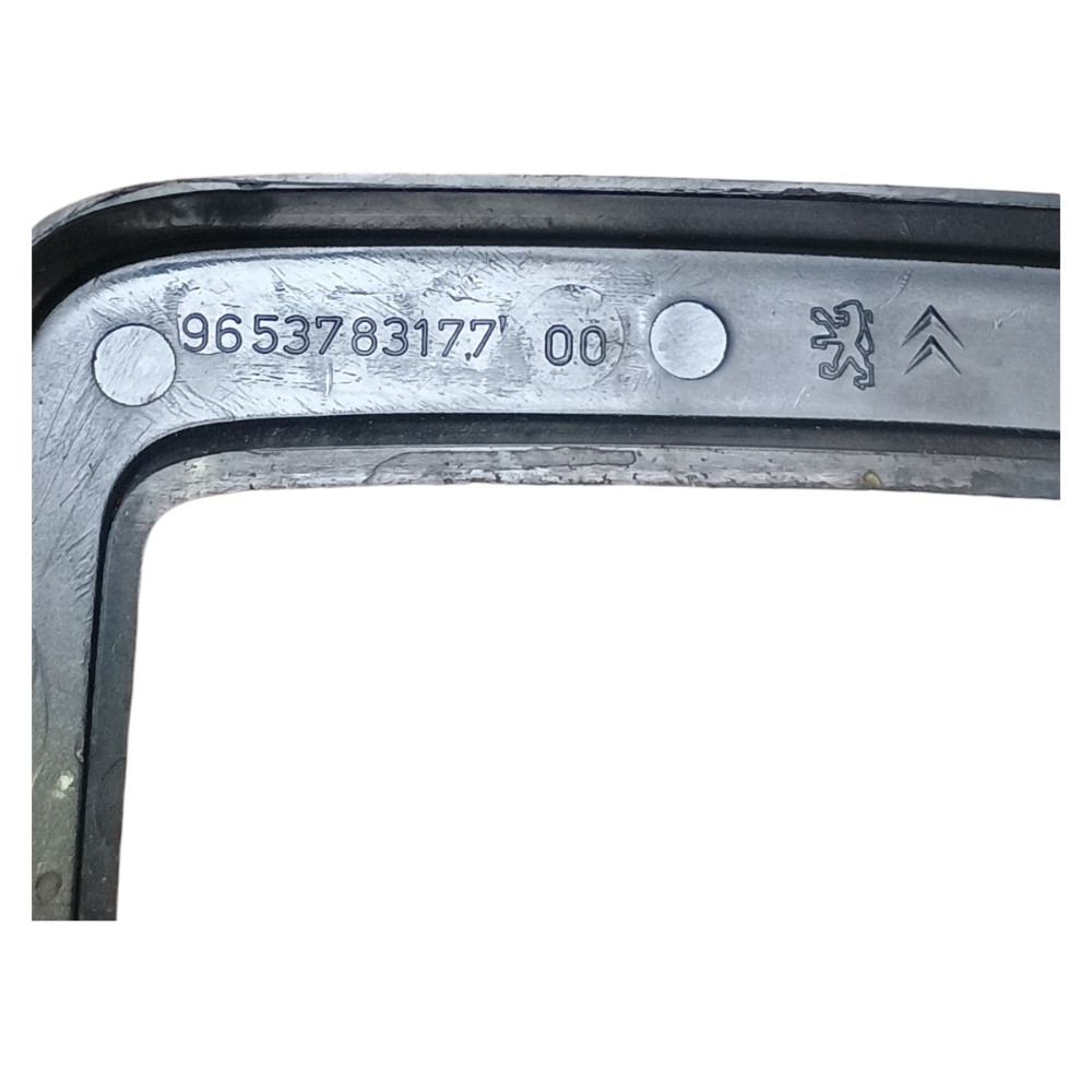 Moldura Trambulador Peugeot 207 2010 9653783177 5