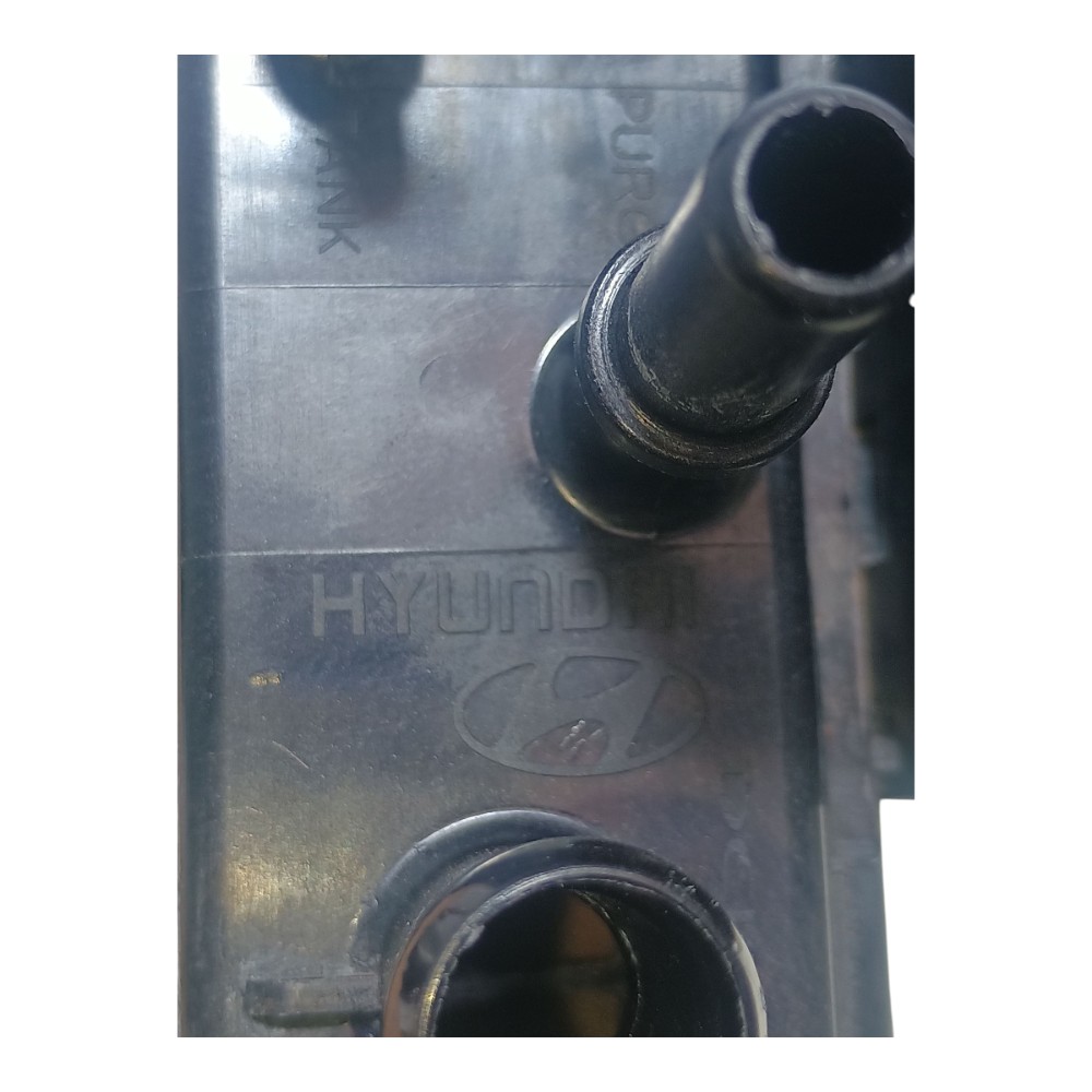 Filtro Canister Hyundai Hb20 1.6 2018 314001s000 7