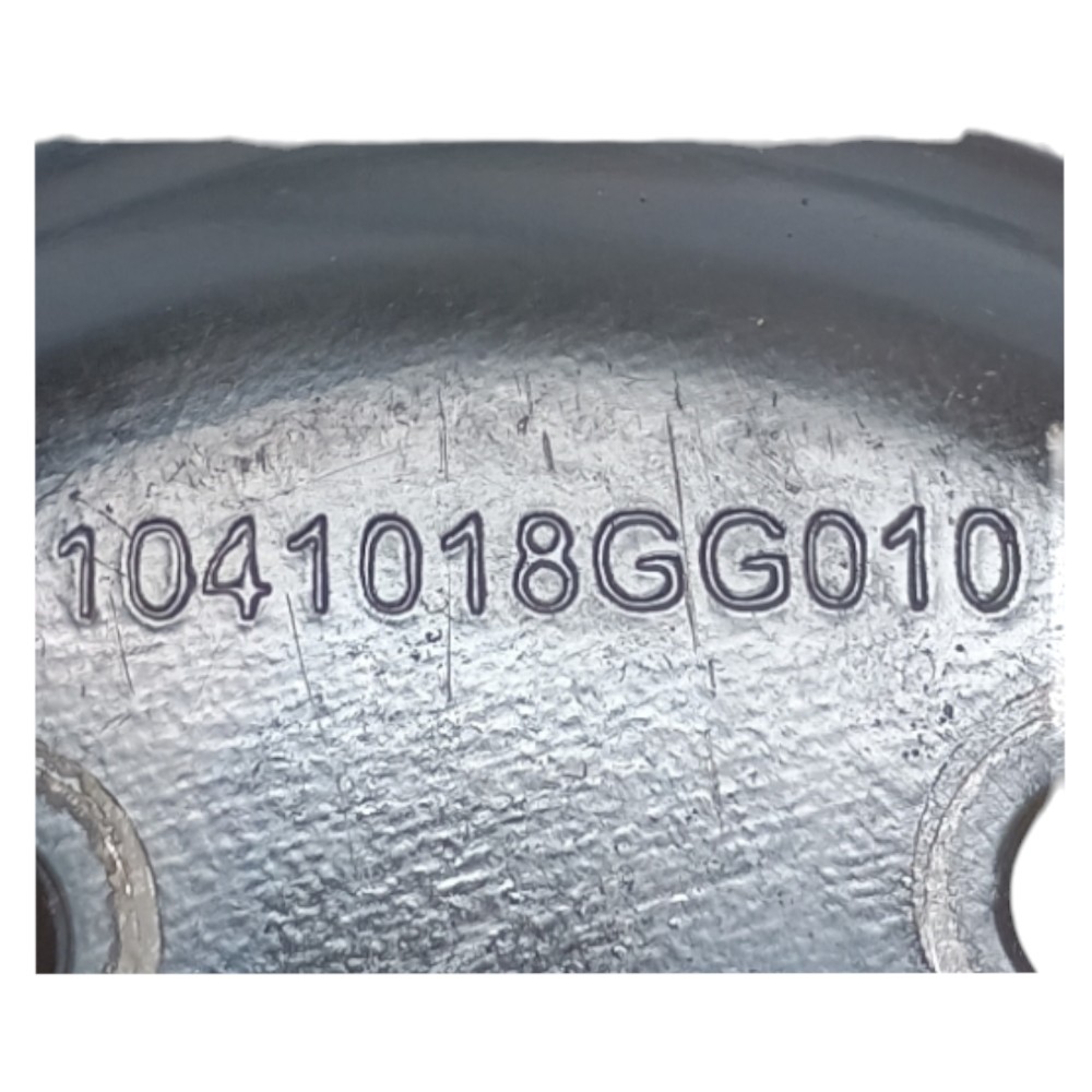 Polia Bomba Agua Jac J2 1.4 2014 1041018gg010 4