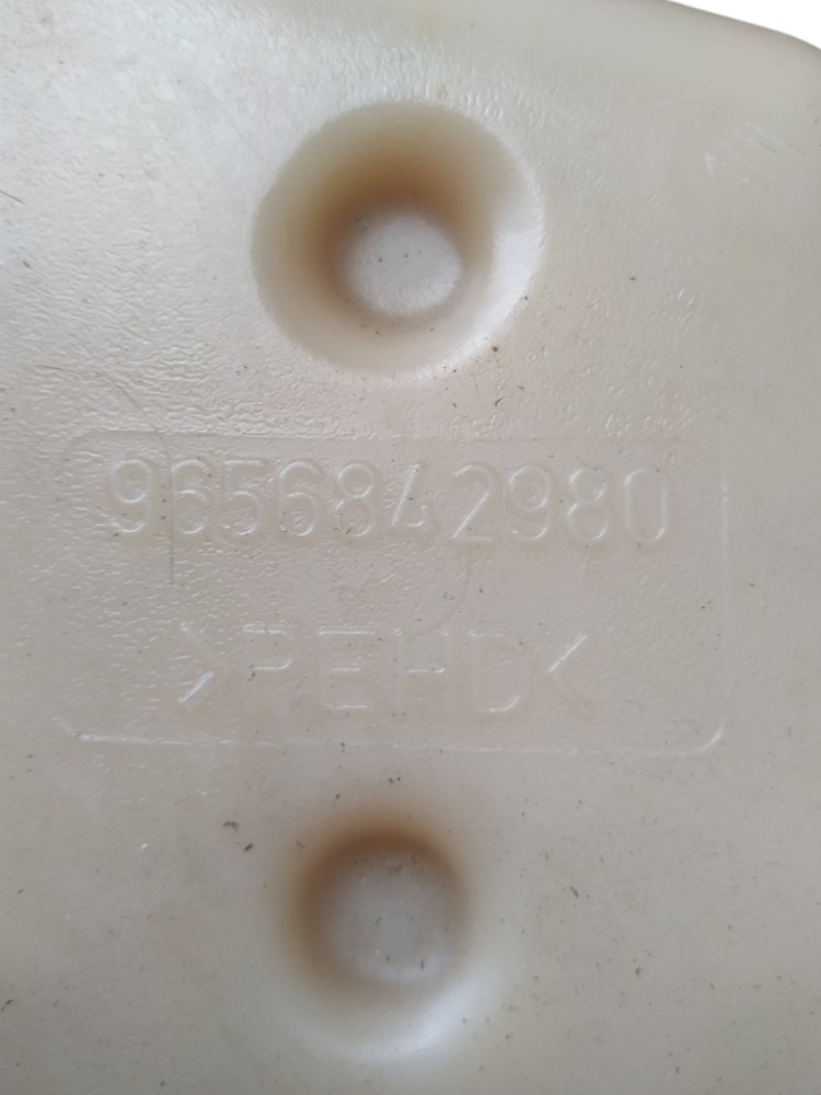 Reservatório Partida Frio Gasolina Peugeot 207 2010 A 2011 3