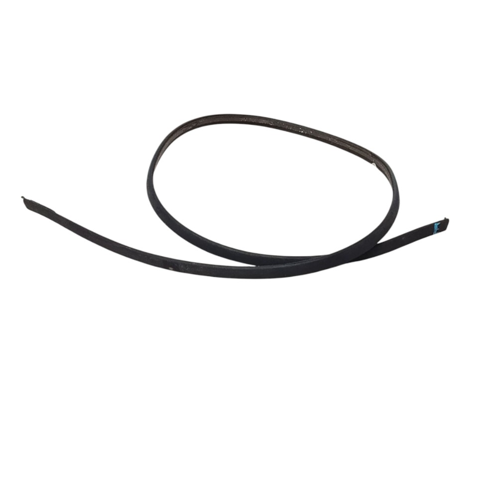Borracha Porta Traseira Esquerda Ford Focus 2001 1.8 16v