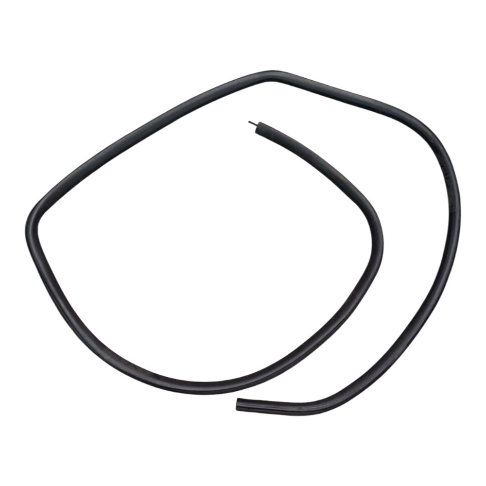 Borracha Porta Traseira Esquerda Ford Focus 1.8 2001 Preto Preto
