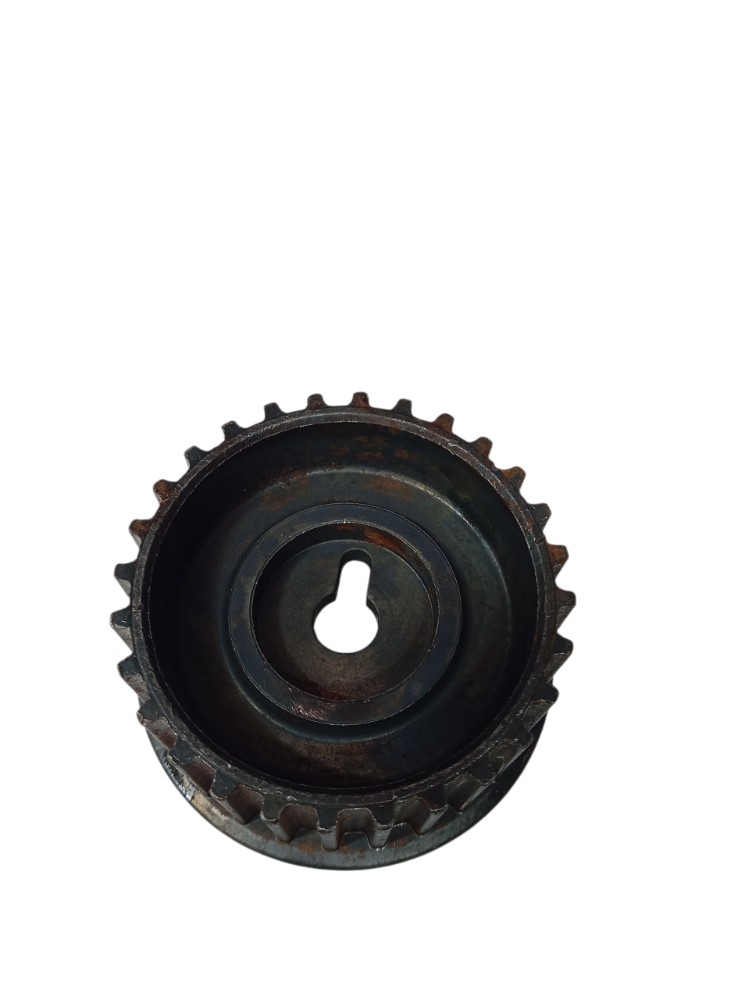 Polia Dentada 3