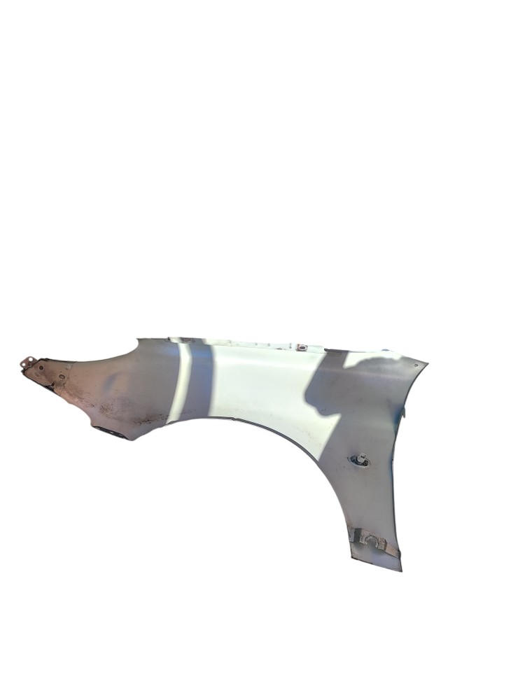 Paralama direito Peugeot 206 2007 4