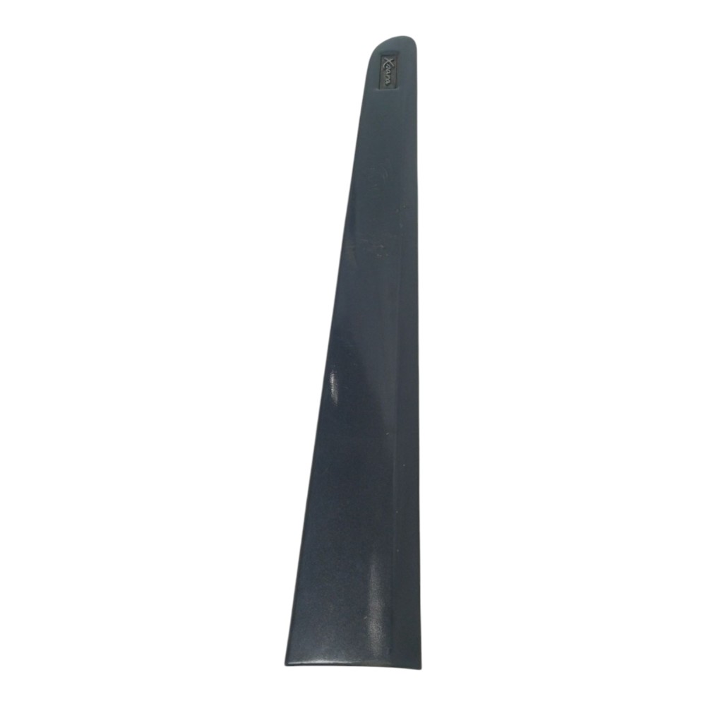 Friso De Porta Diant Esq Citroen Xsara 2000 4