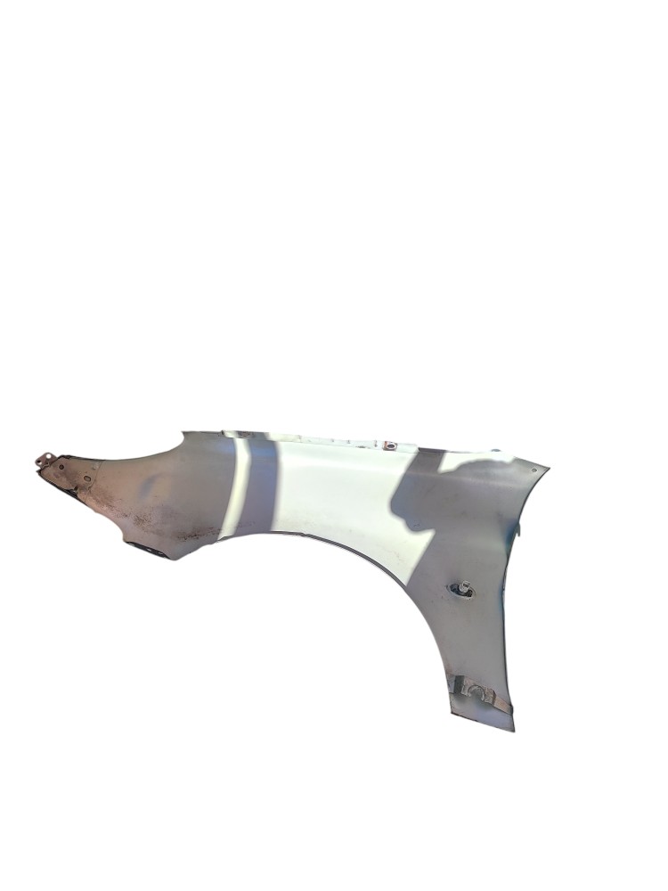Paralama direito Peugeot 206 2007 2