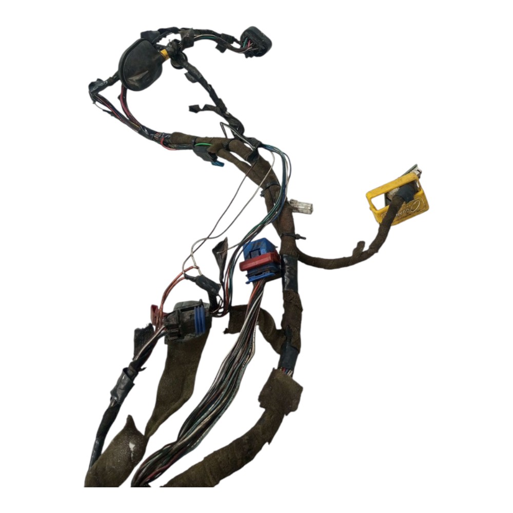 Chicote Porta Diant Dir Renault Sandero 2010 2