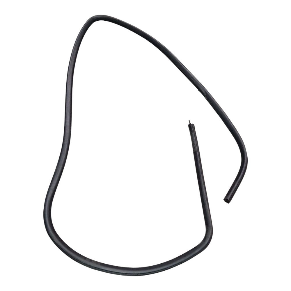 Borracha Porta Dianteira Esquerda Ford Focus 1.8 2001 2