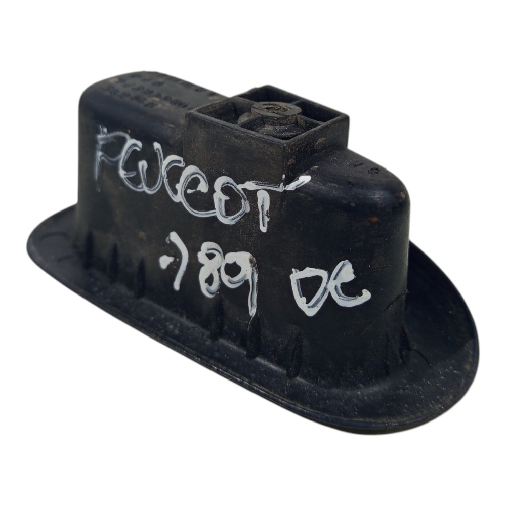 Puxador Porta Dianteiro Esquerdo Peugeot 206 2003 9629326077 8