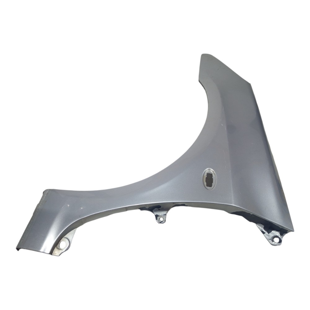 Paralama Prata Esquerdo Peugeot 307 2005 A 2011 Detalhes 2
