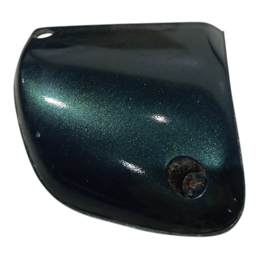 Moldura Para-choque Milha Le Renault Laguna 1995 A 2001 Verde Metálico 2