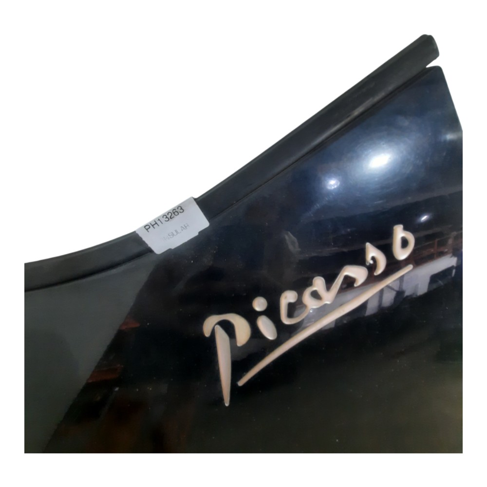 Para-lama Lateral Diant Esquerda Citroen C4 Picasso 09 A 14 9