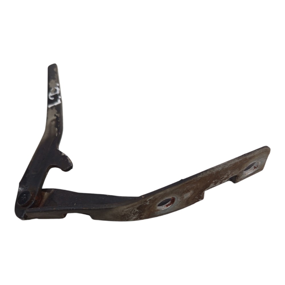 Dobradiça Capô Direito Peugeot 206 1999 2000 2001 A 2010 3