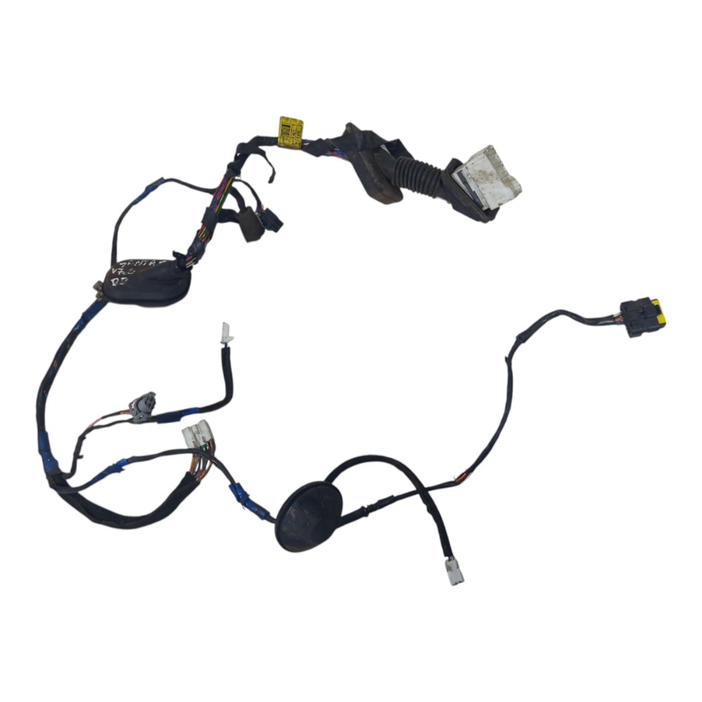 Chicote Porta Dianteira Ld Hyundai Santa Fé 2007 2008 A 2012 1