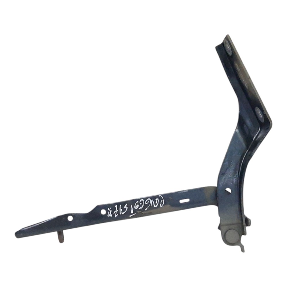 Dobradiça Capo Lado Direito Peugeot 307 2002 2003 2004 A 12 5