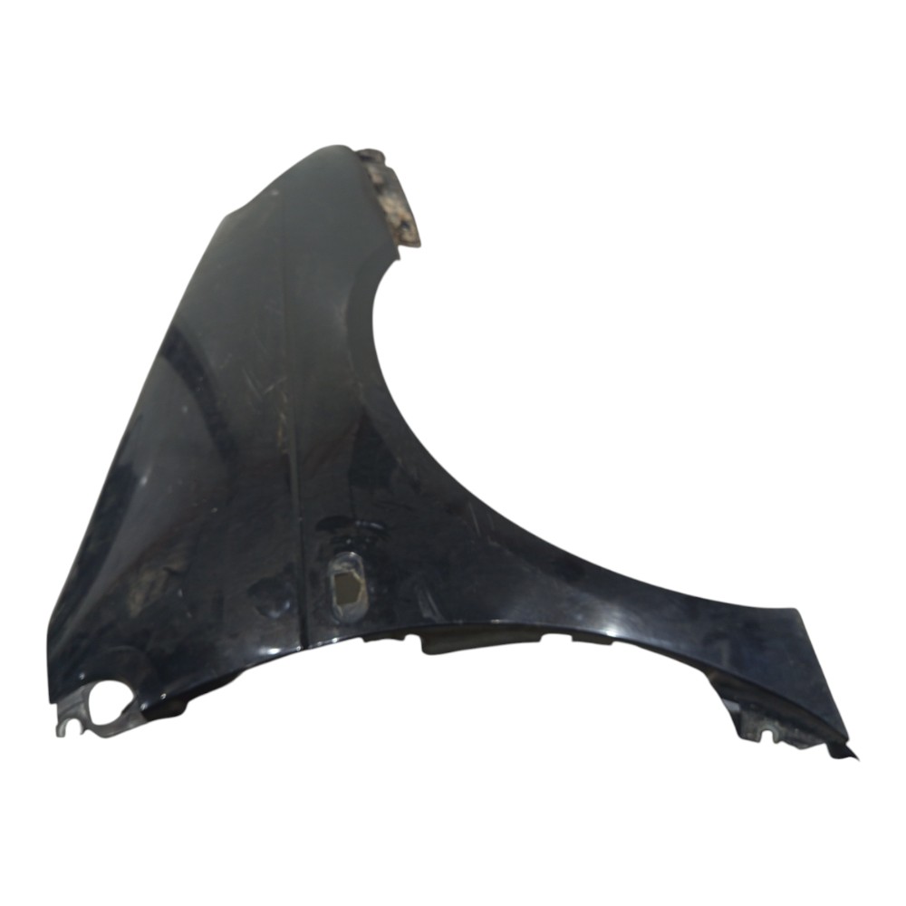 Paralama Dianteiro Direito Renault Scenic 2001 A 2012 3