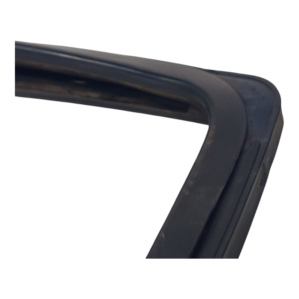 Borracha Porta Traseira Esquerda Ford Focus 2001 2002 A 2008 6