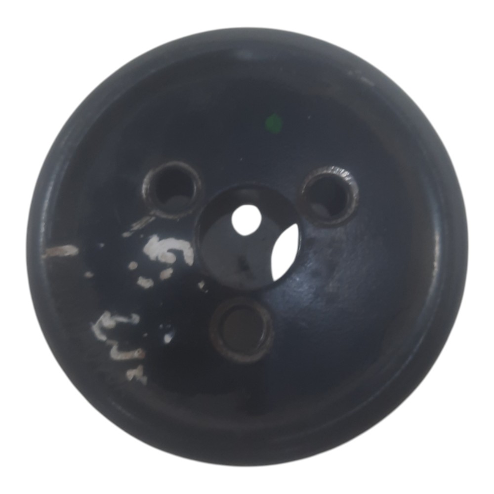 Polia Bomba Dágua Ford Focus 2.0 16v 2001 A 2013