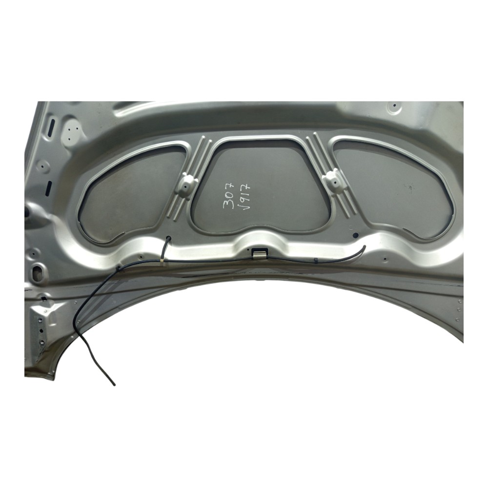 Capô Prata Peugeot 307 2005 2006 A 2011 Detalhes Avaria 5