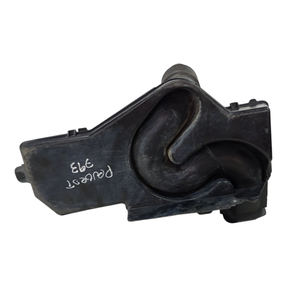 Caixa Ressonadora 1.6 Peugeot 207 2008 2009 A 2013 Avaria 6