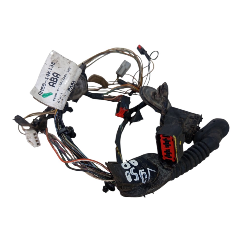 Chicote Porta Dianteira Direita Ford Focus 2008 A 2013 5