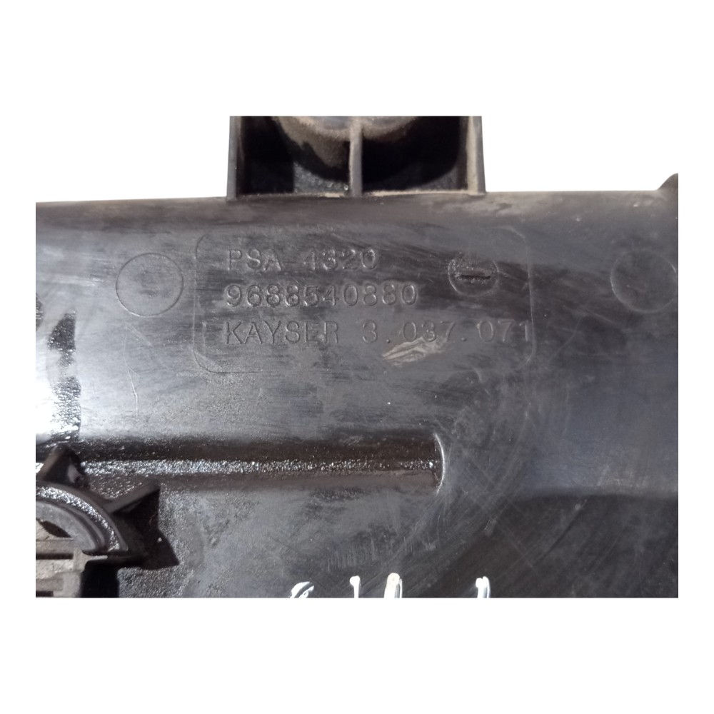 Filtro Canister Citroen C4 Pallas 2007 2008 2009 A 2012 6
