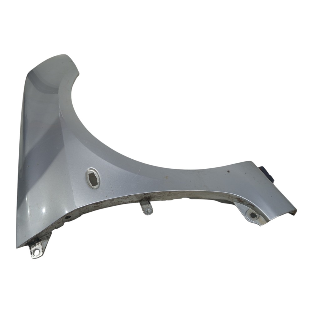 Paralama Prata Dianteiro Esquerdo Peugeot 307 2001 A 2012 6