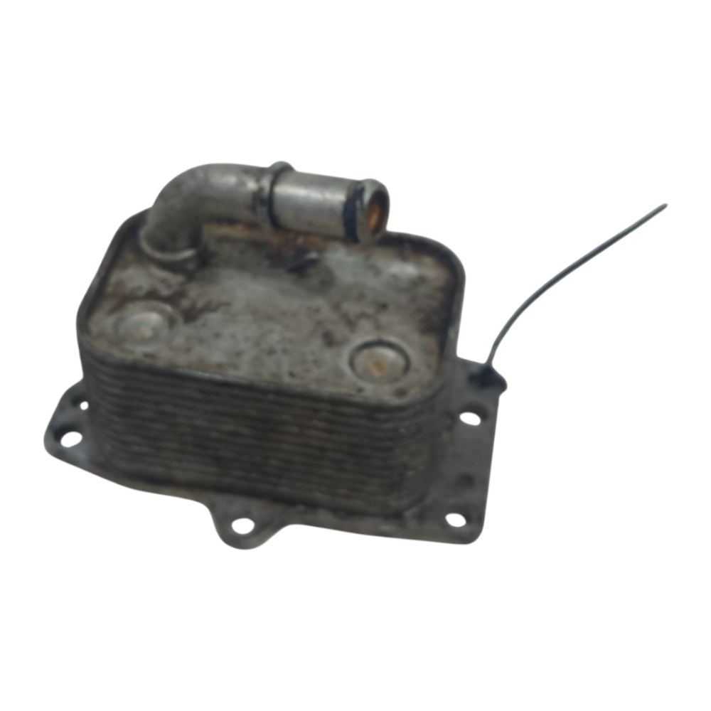 Resfriador Radiador Citroen C4 Picasso 2.0 2007 2008 A 2014 6
