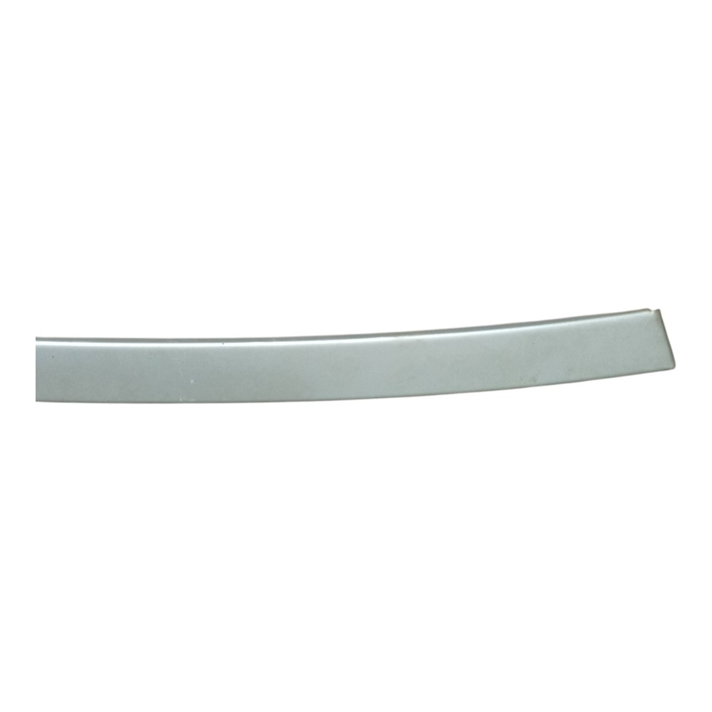 Friso Teto Externo Direito Citroen C4 Pallas 2008 A 2012 Prata 2