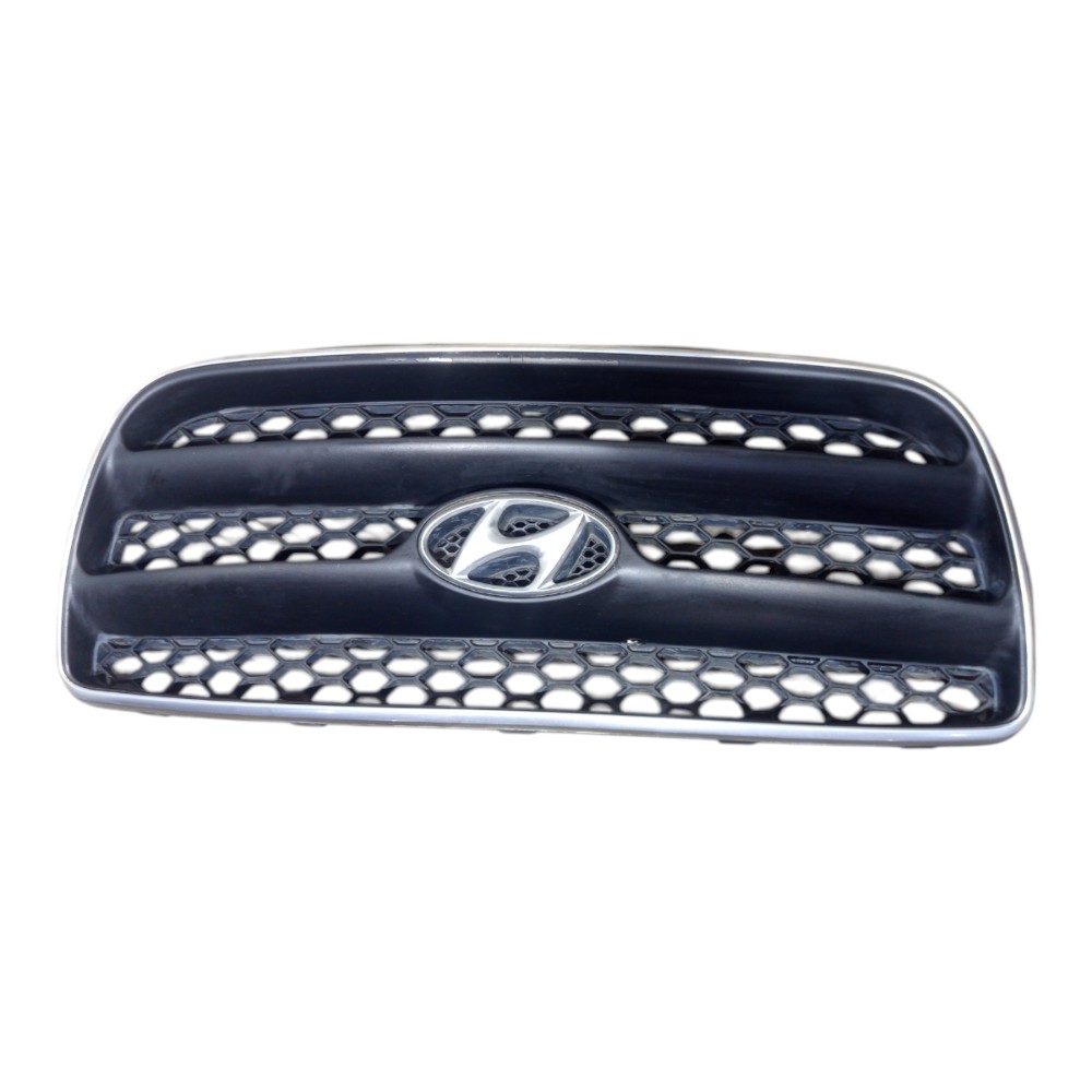 Grade Dianteira Hyundai Santa Fé 2008 A 2010 1