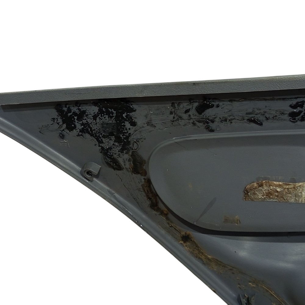 Forro Porta Traseiro Direito Renault Clio 2000 A 2012 6