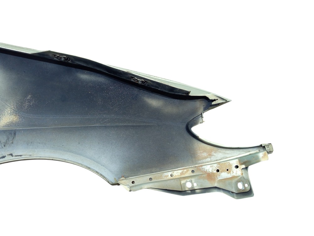 Paralama Dianteiro Esquerdo Renault Snenic 1996 1997 A 2003 6