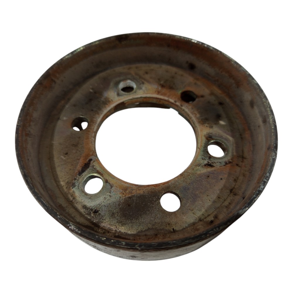 Polia Agua Renault Scenic 2.0 8v 1996 1997 1998 1999 A 2003 2