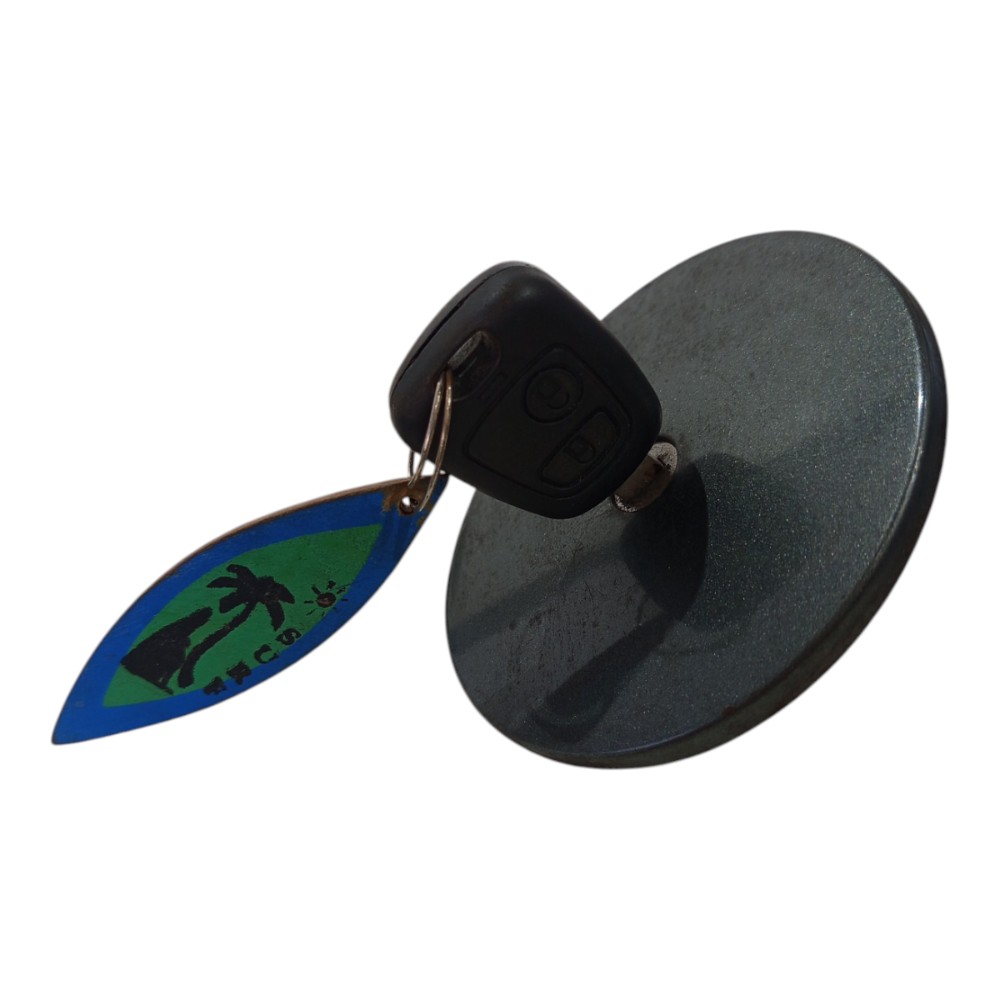 Portinhola Tanque Combustível Peugeot 206 2006 A 2008 Cinza Cinza 2008 2