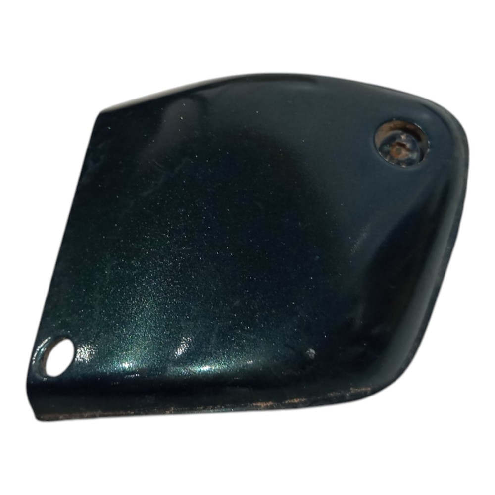 Moldura Para-choque Milha Le Renault Laguna 1995 A 2001 Verde Metálico 3